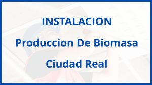 Instalacion De Produccion De Biomasa en Ciudad Real