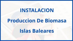 Instalacion De Produccion De Biomasa en Islas Baleares