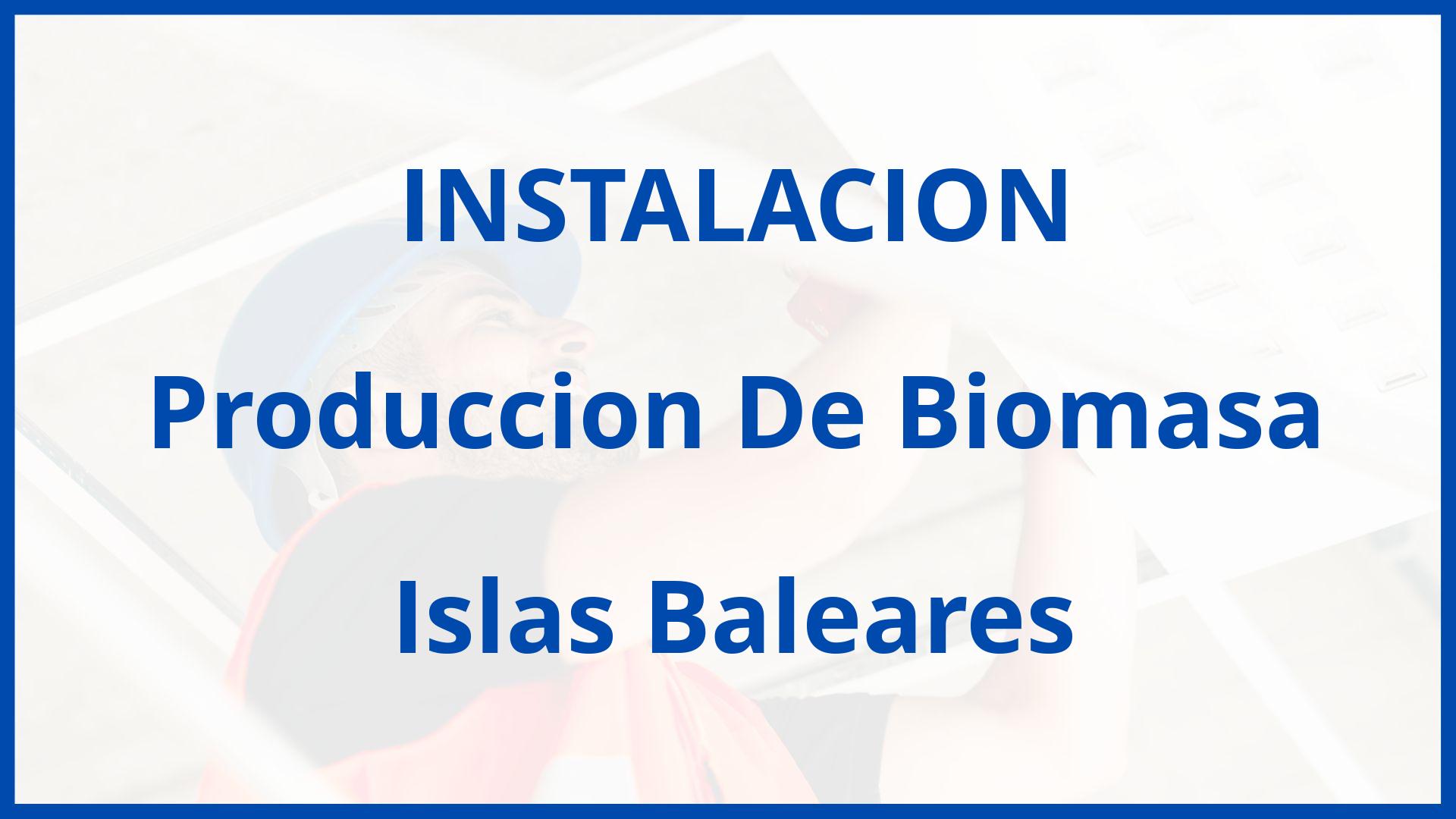 Instalacion De Produccion De Biomasa