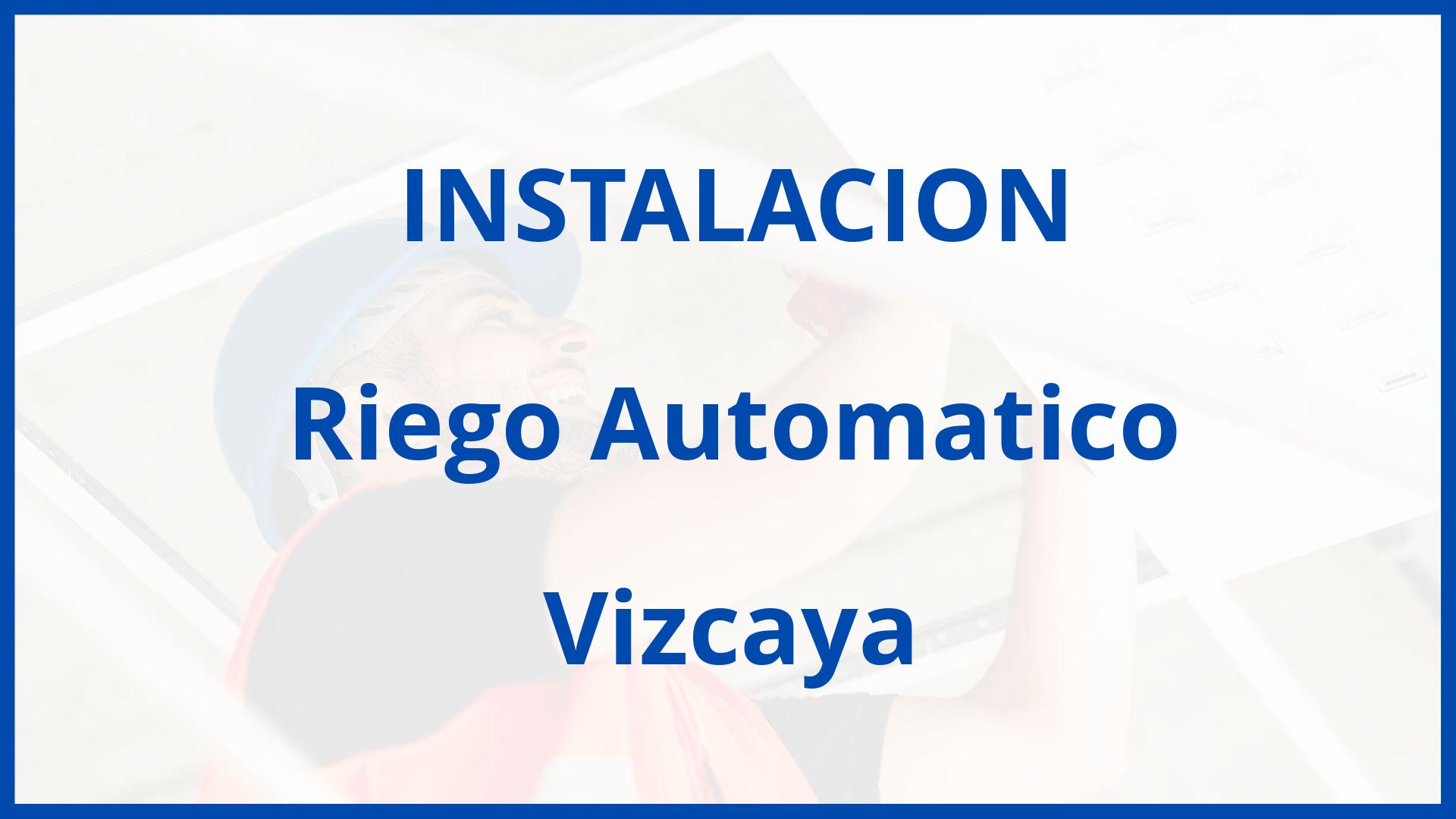 Instalacion De Riego Automatico