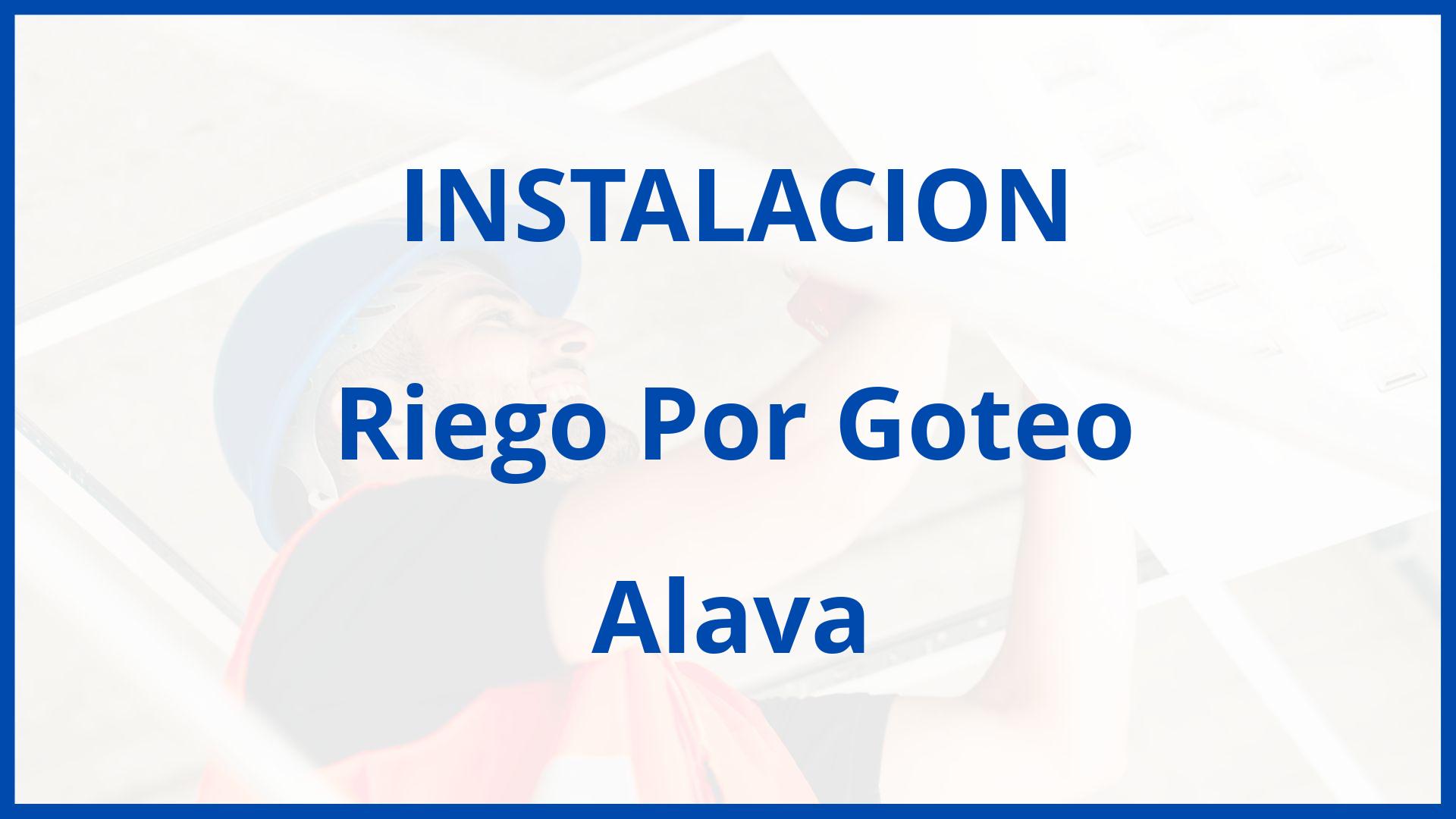 Instalacion De Riego Por Goteo