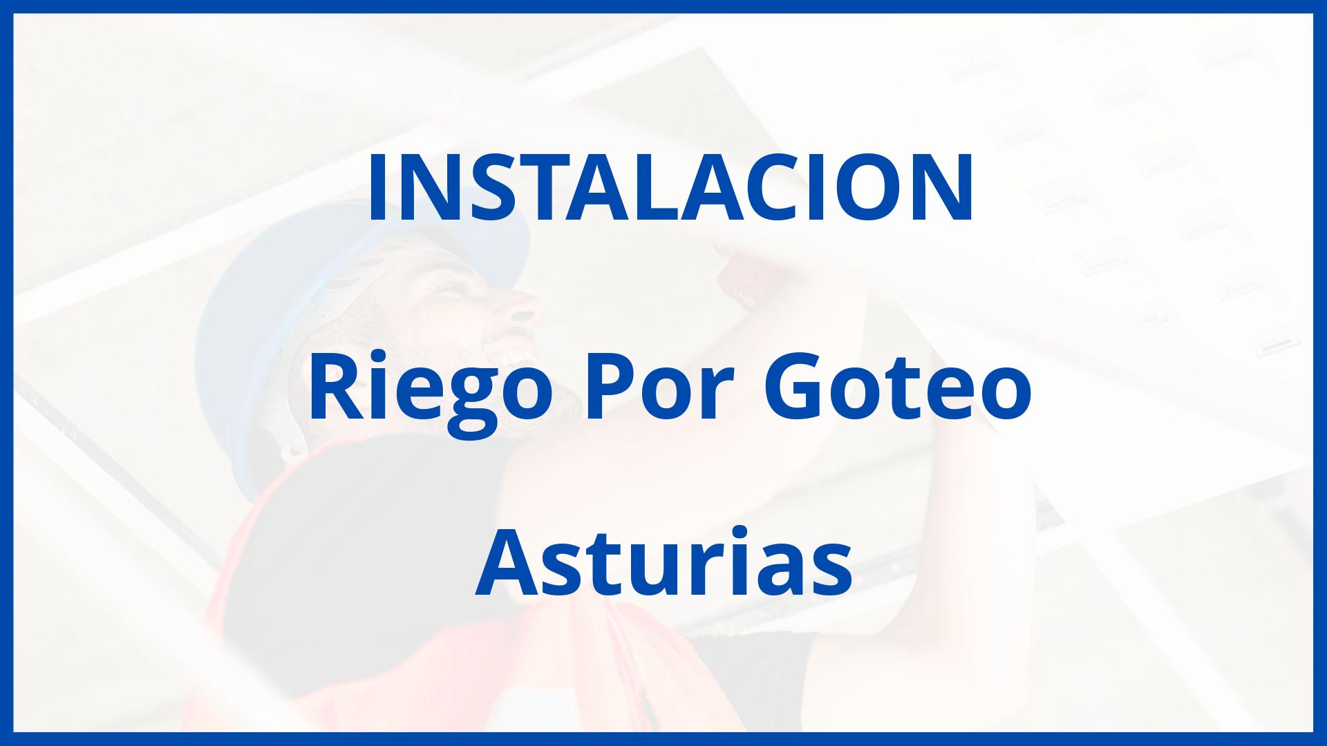 Instalacion De Riego Por Goteo