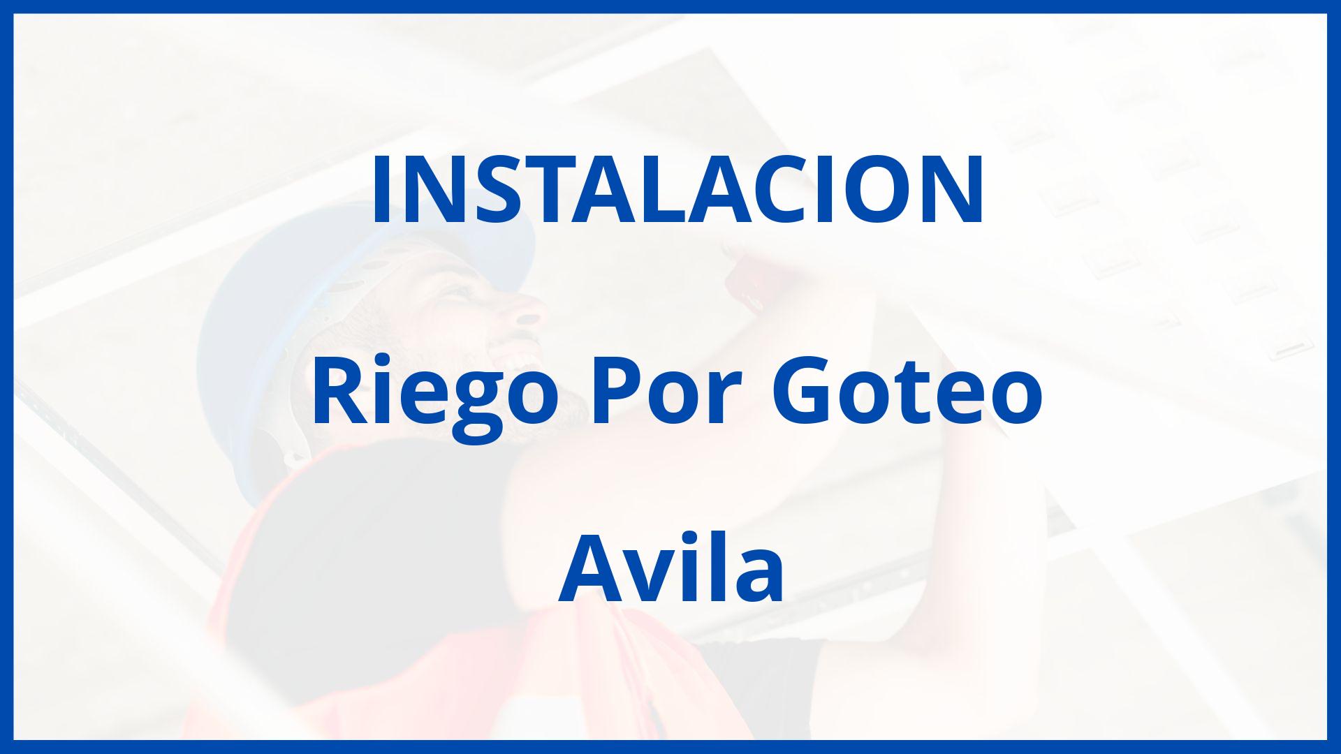 Instalacion De Riego Por Goteo