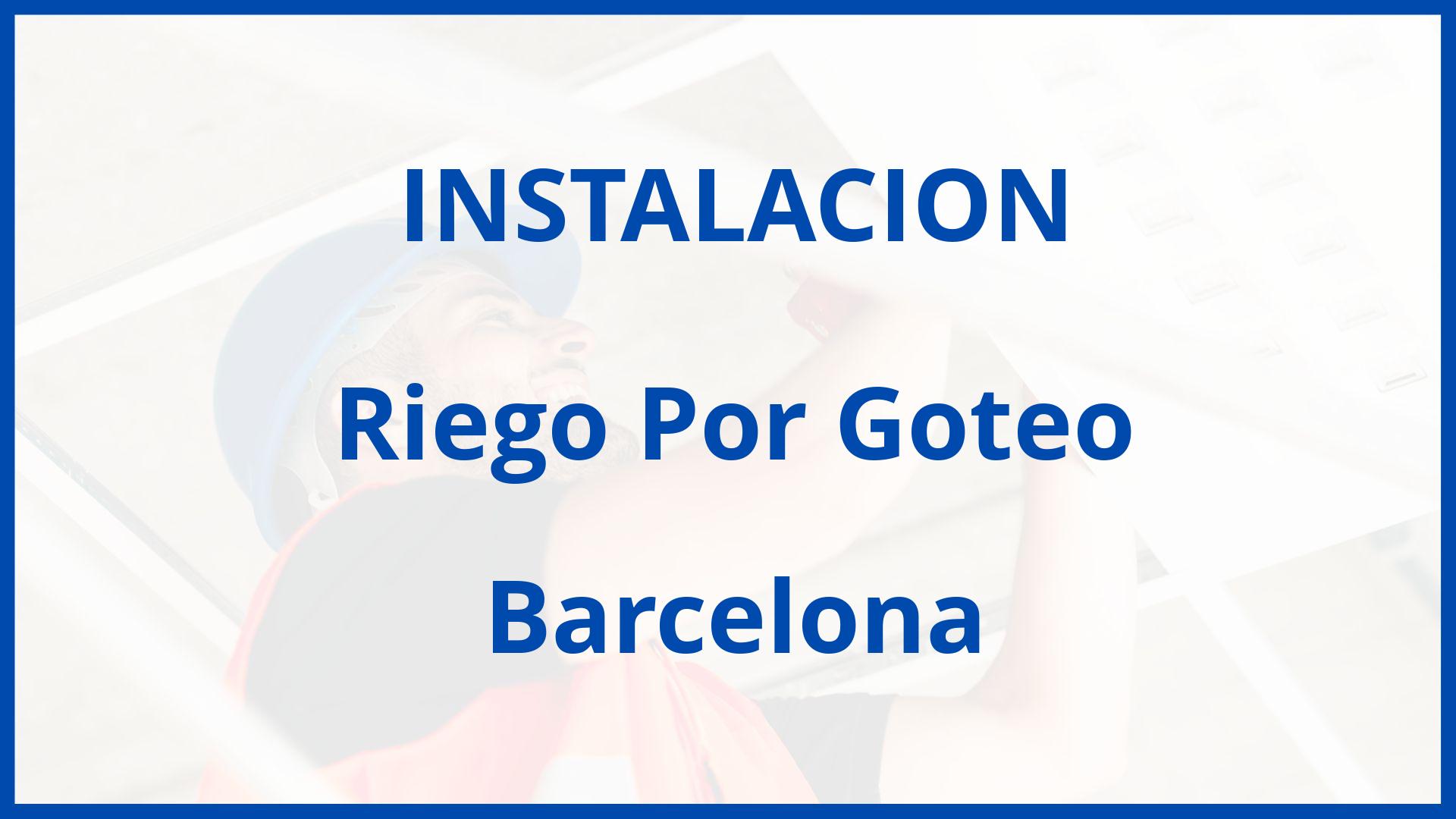 Instalacion De Riego Por Goteo