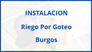 Instalacion De Riego Por Goteo en Burgos