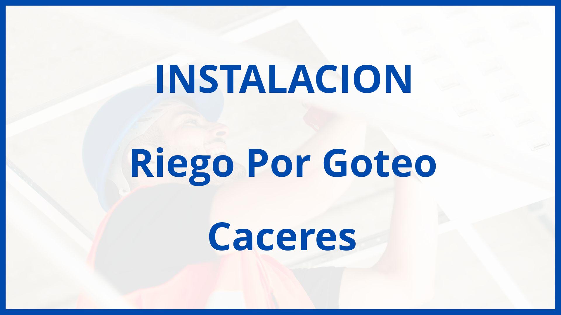 Instalacion De Riego Por Goteo