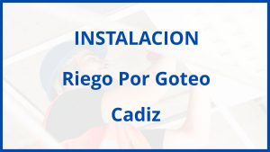 Instalacion De Riego Por Goteo en Cadiz