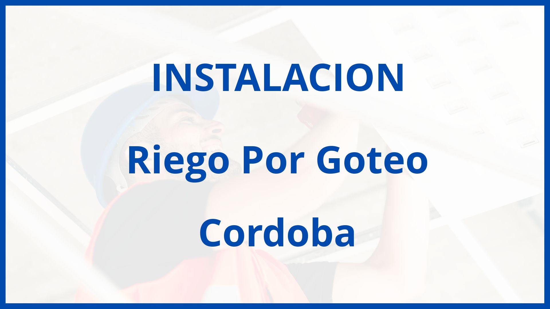 Instalacion De Riego Por Goteo