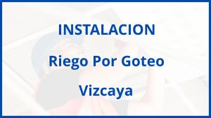 Instalacion De Riego Por Goteo en Vizcaya