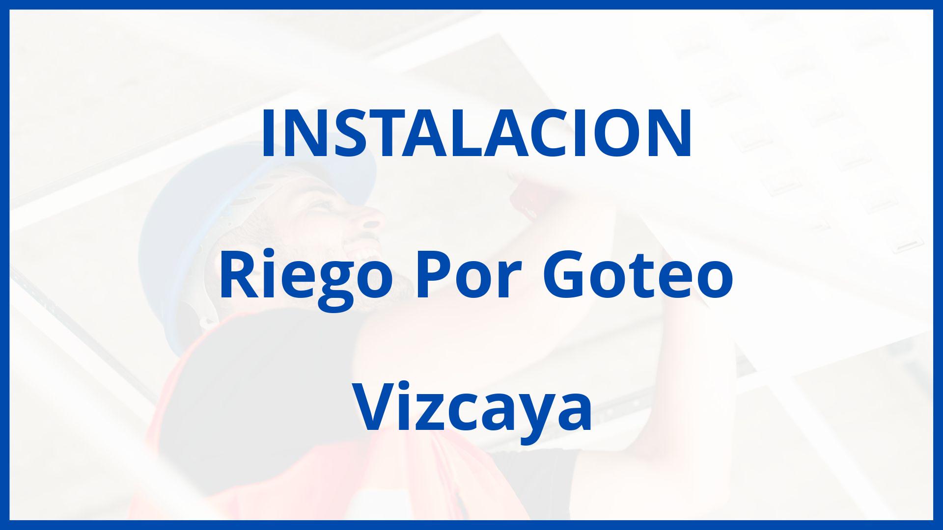 Instalacion De Riego Por Goteo