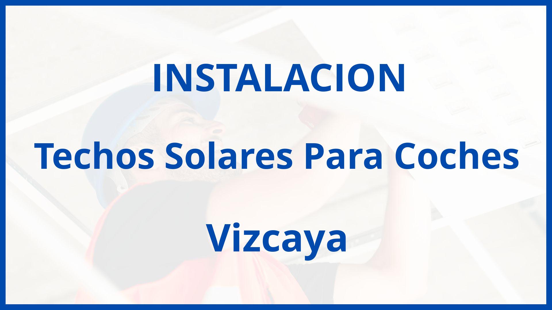 Instalacion De Techos Solares Para Coches